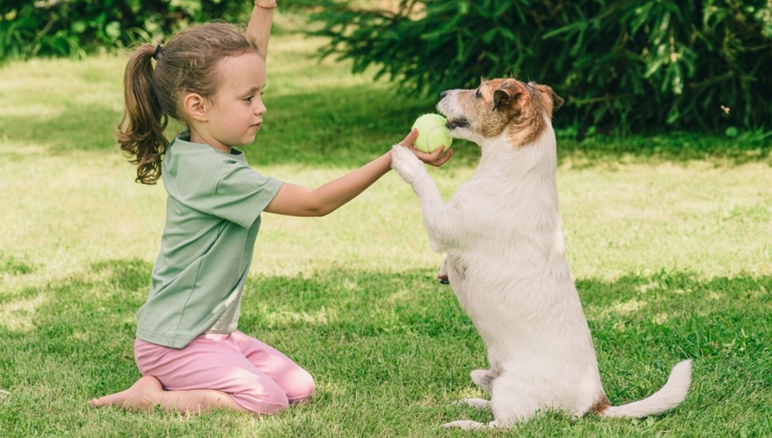 Family dog training San Diego