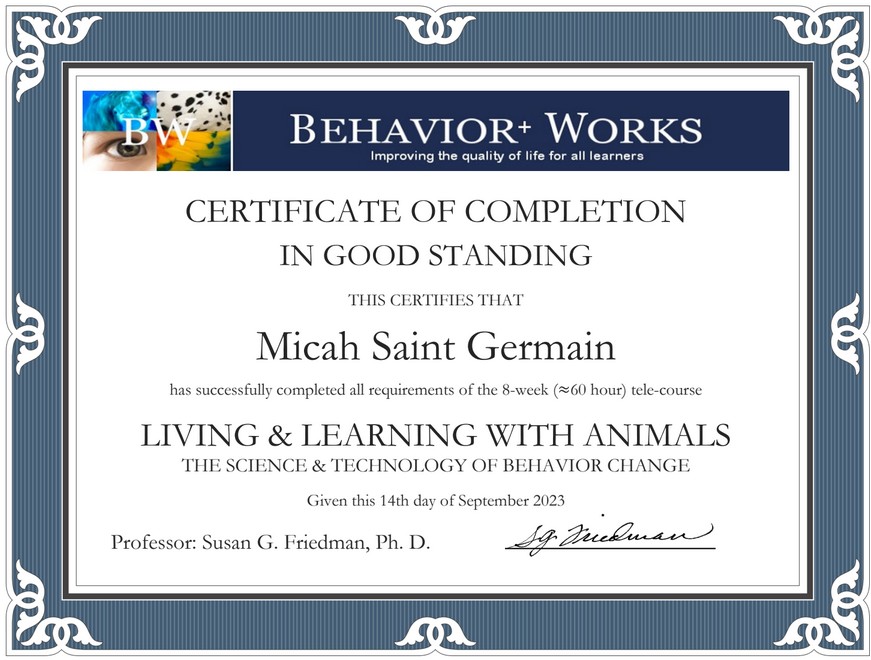 Certified Dog Trainer San Diego