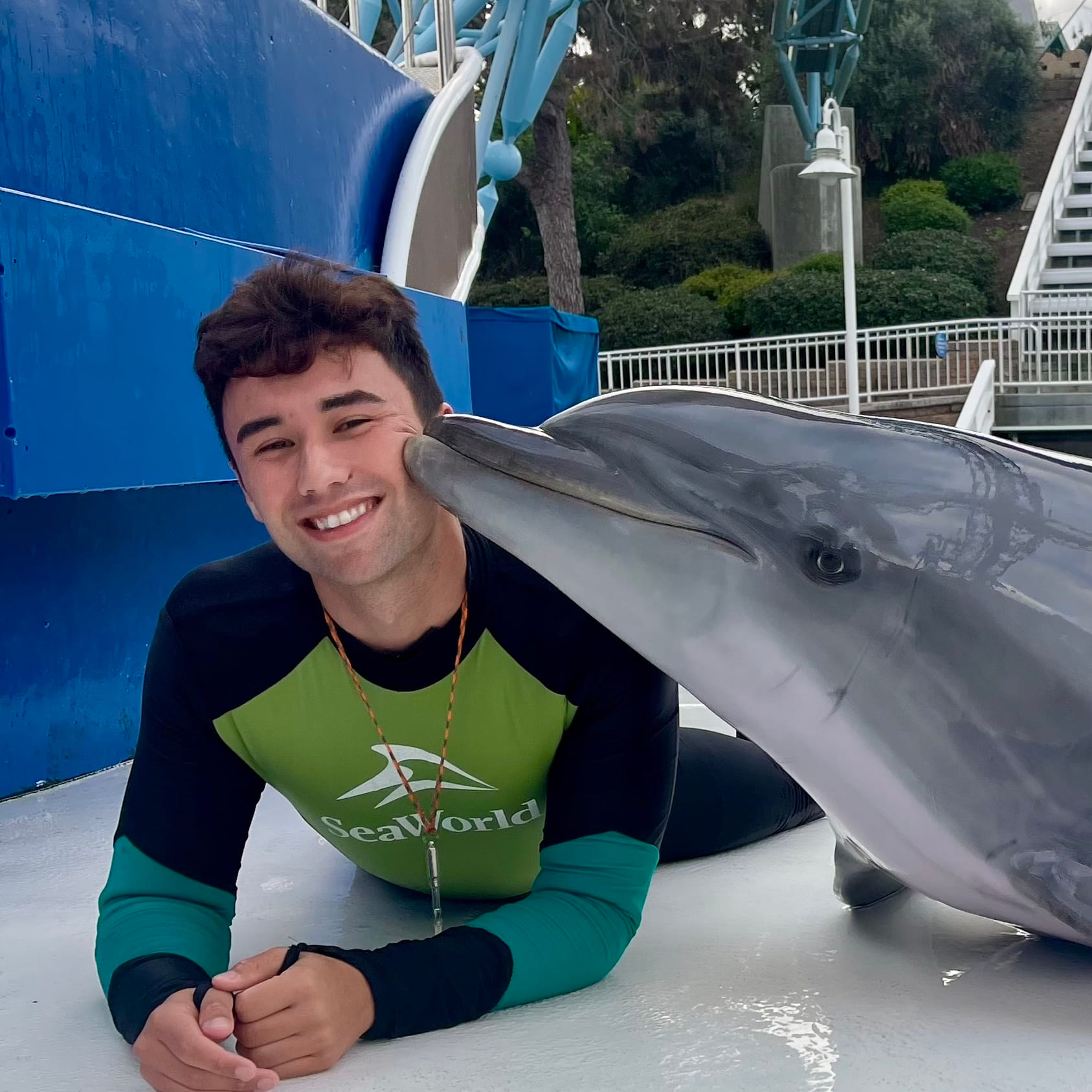 Micah training with a marine mammal laying poolside in San Diego